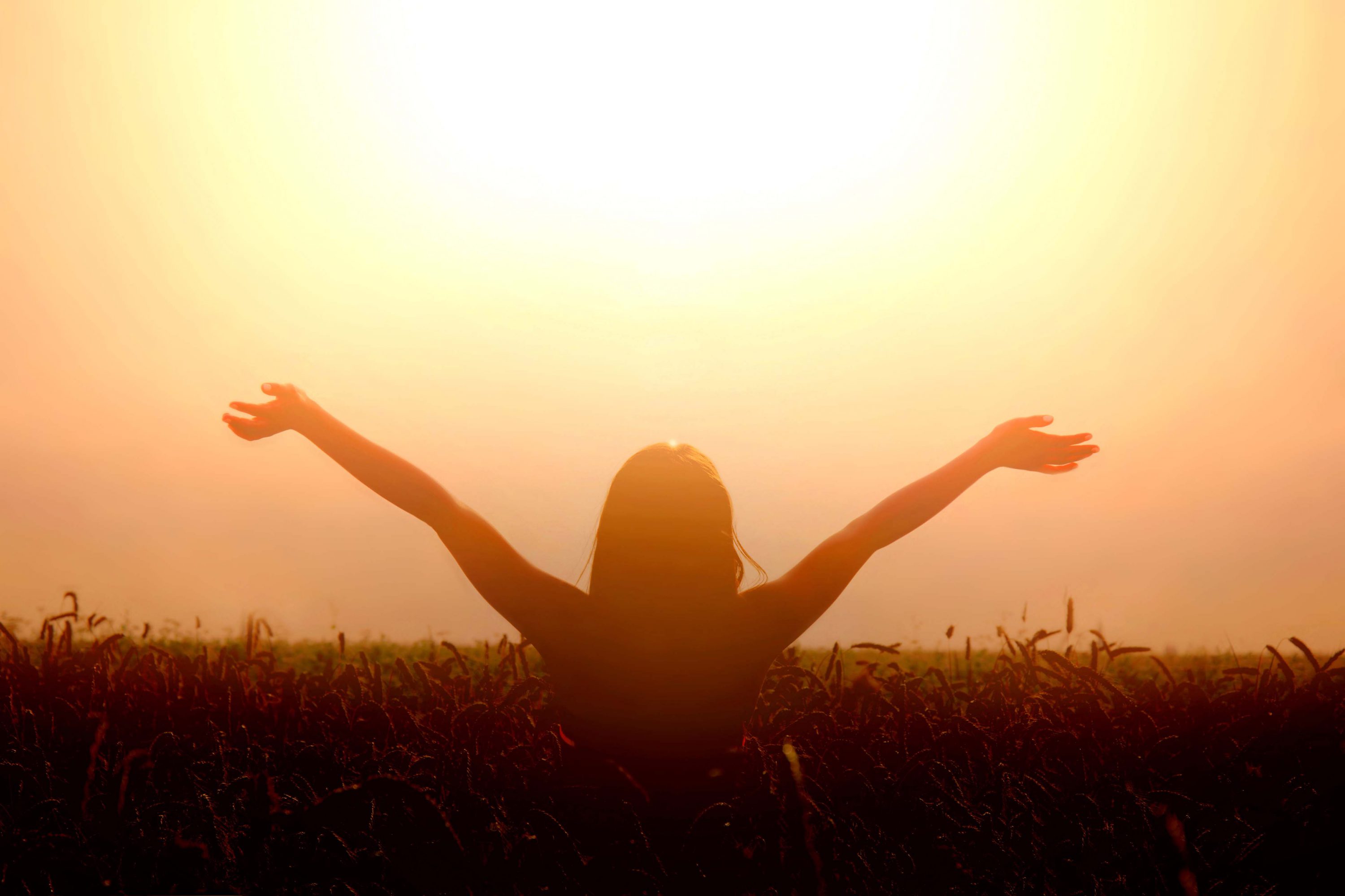 Felicità come atteggiamento di successo